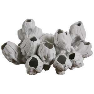   White Barnacle Sculpture With Realistic Rippled Detail