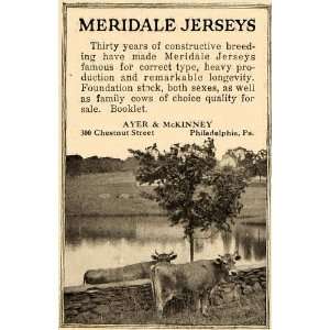  1919 Ad Meridale Jersey Cow Ayer McKinney Philadelphia 