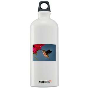  Sigg Water Bottle 1.0L Female Rufous Hummingbird 