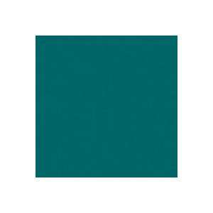 Rosco Roscolux Teal Green, 20 x 24 Color Effects Lighting Filter 