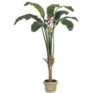  8? Heliconia Plant in Fiberglass Pot Green Red