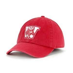    Wisconsin Badgers College Vault Franchise Hat: Sports & Outdoors