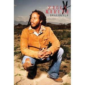  Ziggy Marley   Posters   Domestic: Home & Kitchen