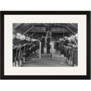  Print 17x23, US Navy Seaman learn how to tie knots