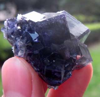 Purple Zone Cubic Fluorite Crystal Specimen dz657  
