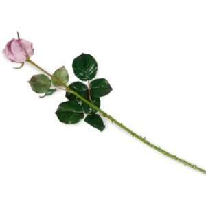  Winward Rose Collection Small Lavender Silk Flower