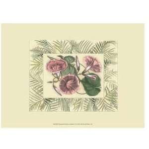  Tropical Flowers In Bamboo I Poster Print