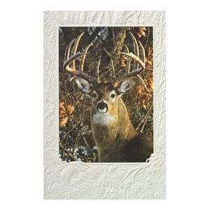   Greeting Card Whitetail Buck Autumn Gentleman
