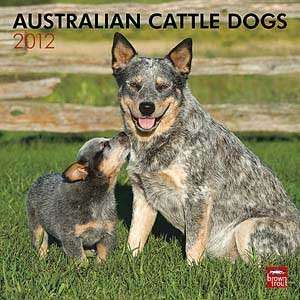  2012 Australian Cattle Dogs Calendar