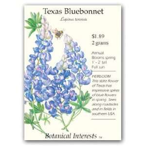 Texas Bluebonnet Seeds Patio, Lawn & Garden