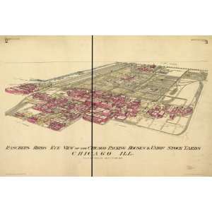    1890 map of Packing houses, Illinois, Chicago: Home & Kitchen
