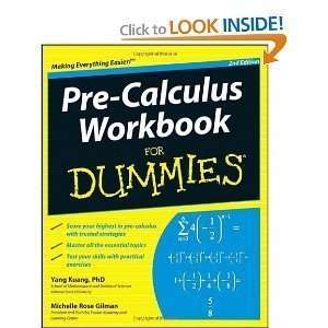  PaperbackPre Calculus Workbook For Dummies (For Dummies 