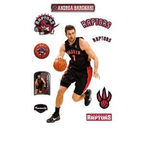  NBA Toronto Raptors Andrea Bargnani Wall Graphic Sports 