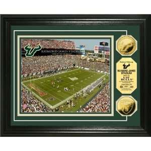  University of South Florida Framed Raymond James Stadium 