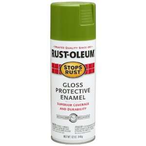   Rust Oleum 250705 12 Ounce Spray Paint, Gloss Fern: Home Improvement