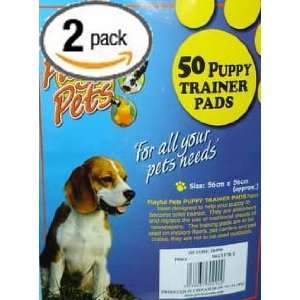  KAZE Dry Floor Protection and Training Pads for Puppies and Dogs 