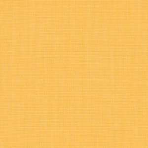 : Sunbrella Canvas Cornsilk #5435 Indoor / Outdoor Upholstery Fabric 