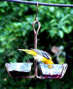 Copper Double Jelly Meal Worm Oriole Bird Feeder  