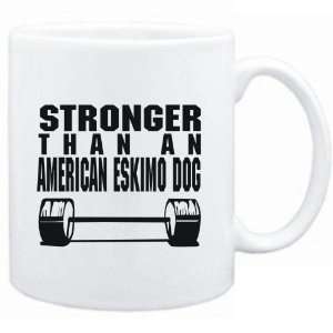   White  STRONGER THAN A American Eskimo Dog  Dogs: Sports & Outdoors