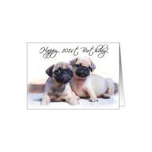  Happy 101st Birthday, Pug Puppies Card: Toys & Games