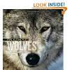 Face to Face with Wolves (Face to Face with Animals)