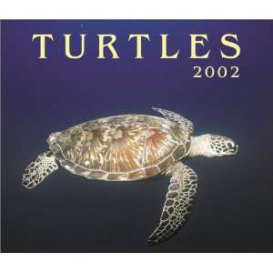  Turtles 2002 (9781552970706) Firefly Books Books