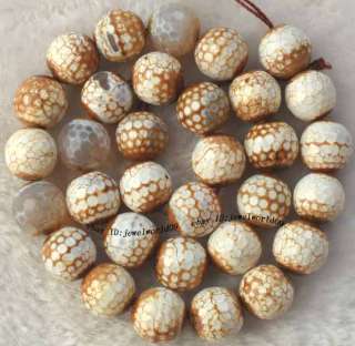 12mm Crab Agate Round Faceted Beads 14.5  