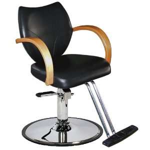    Salon Hydraulic Styling Chair   Heavy Duty Pump Base: Beauty