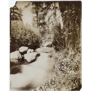   Plateau.Character of streams up in the mountains. 1872: Home & Kitchen