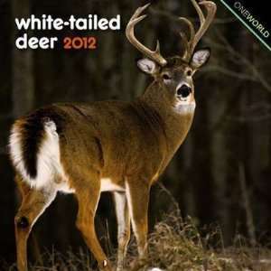  White Tailed Deer 2012 Small Wall Calendar: Office 
