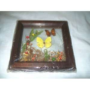 decorative Wall Hanging/picture made in Brazil   uses pressed flowers 
