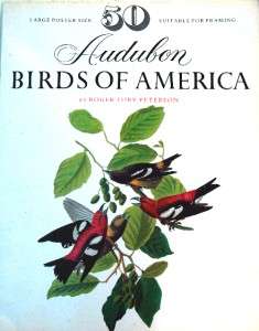 Roger Troy Peterson  50 Prints  Audubon  Birds of America 12x15in 