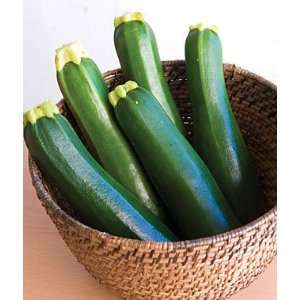  Squash, Summer, Dark Green Zucchini Organic 1 Pkt. (15 