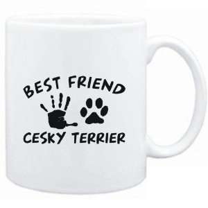   White  MY BEST FRIEND IS MY Cesky Terrier  Dogs