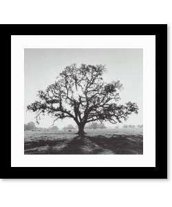 Ansel Adams Oaktree Sunrise Northern California Framed Print 
