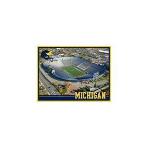  Michigan Wolverines The Big House Puzzle Sports 