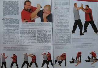 ARTICLE The 10 Commandments Of Reality Martial Arts. Richard Ryan
