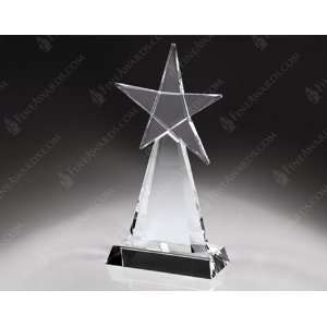  Crystal Evolving Star Award