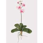 NearlyNatural Mini Phalaenopsis Silk Orchid Flowers (6 Stems) Pink