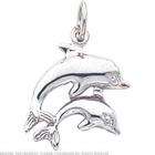 FindingKing 14K White Gold Mother & Baby Dolphin Charm