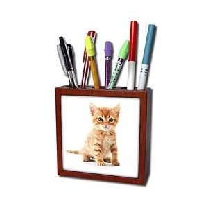  Florene Cat   Cute Orange Tabby Kitten   Tile Pen Holders 