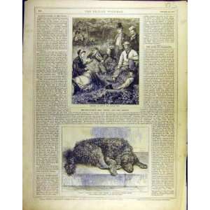   1869 Card Players Rock Royal Humane Society Old Print