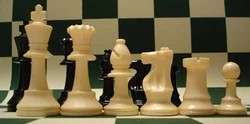 Plastic Chess Pieces Triple Weighted 3.75 King  