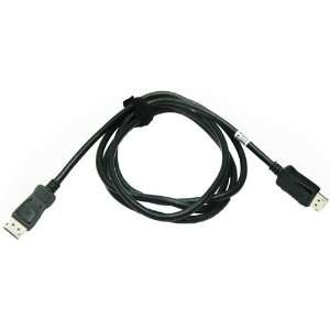  Display Port Cable for Professional Flat Panel Monitors 