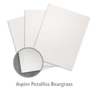  ASPIRE Petallics Beargrass Paper   350/Package Office 