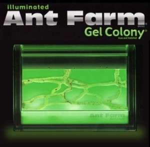 Illuminated Ant Farm: Gel Colony Uncle Milton Habitat 0042499014519 