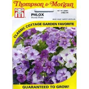   & Morgan 9105 Phlox Moody Blues Seed Packet Patio, Lawn & Garden