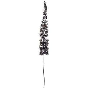  60 Foxtail Lily Spray Black (Pack of 6)