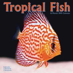  Tropical Fish 2010 Wall Calendar