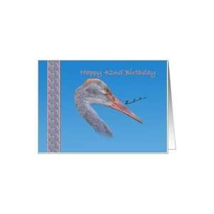    42nd Birthday Card with Sandhill Crane Bird Card Toys & Games